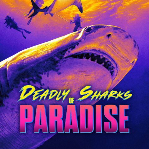 Deadly of Sharks Paradise