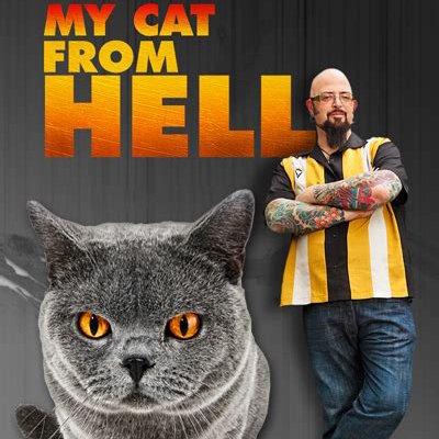 My Cat from hell